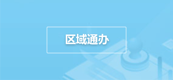 区域通办